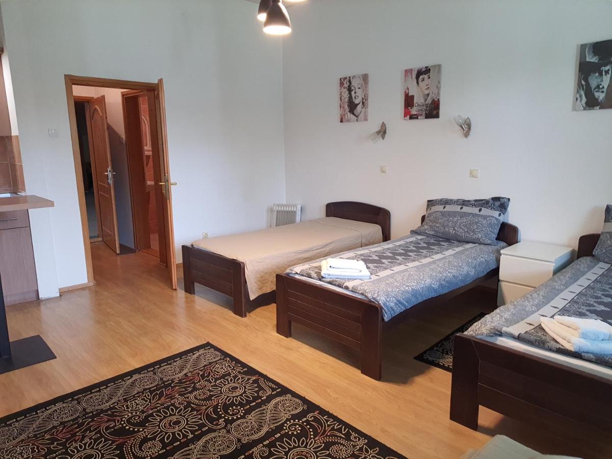Felix Apartment Златибор Экстерьер фото